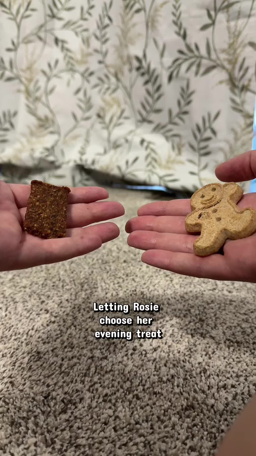 @Little Miss Rosie 🐾