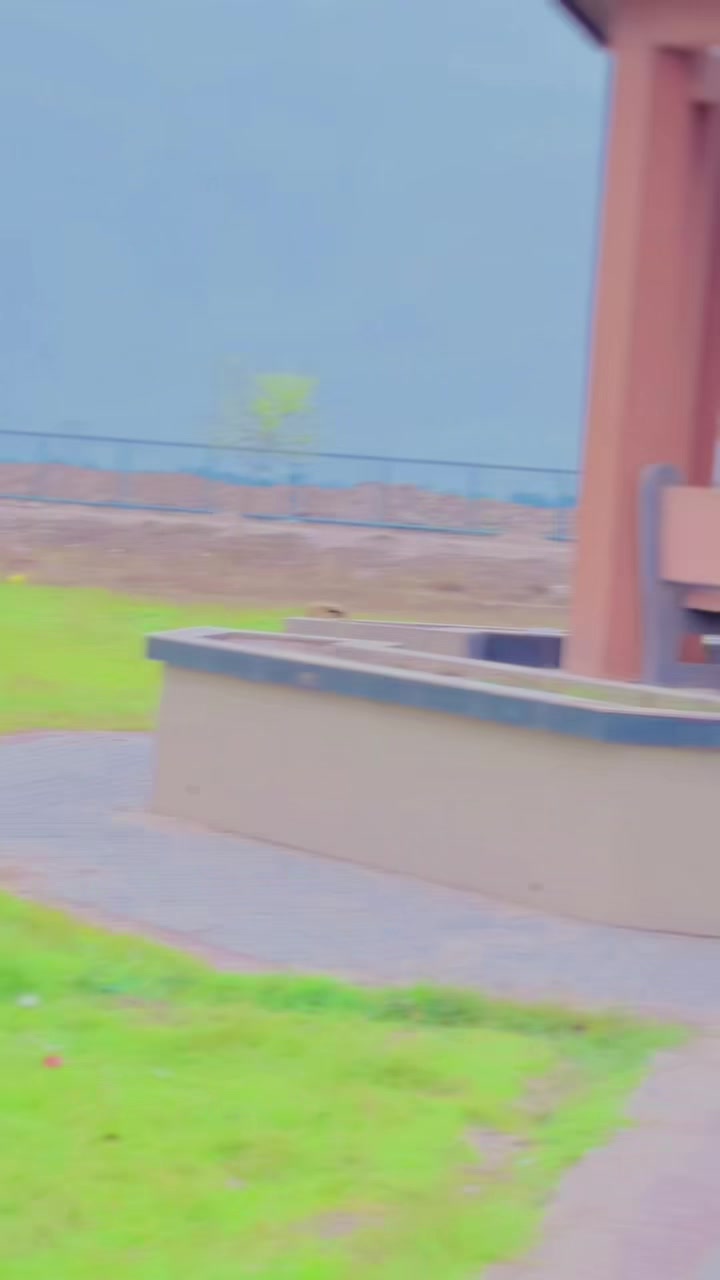 @🚩 M̾ 么 H 么 Ʀ ⚖️