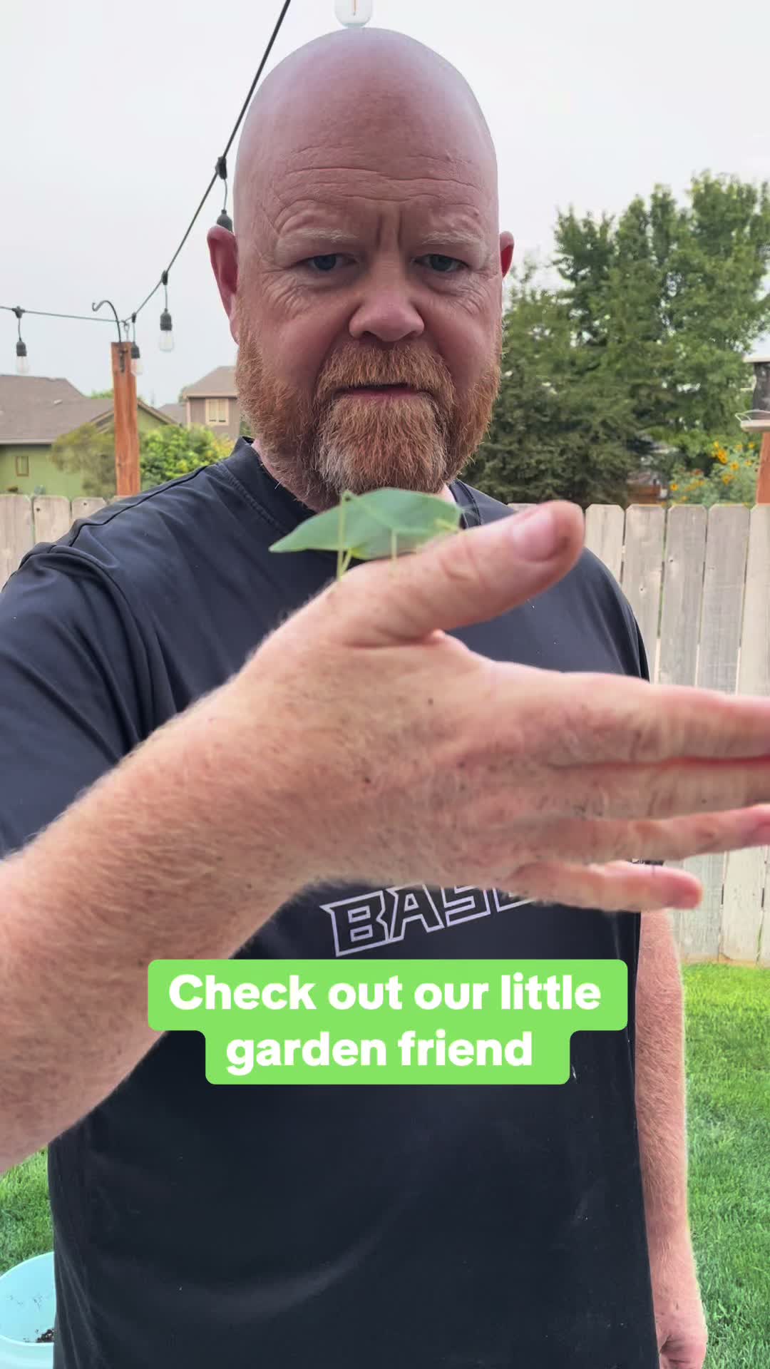 @backyardBeeg