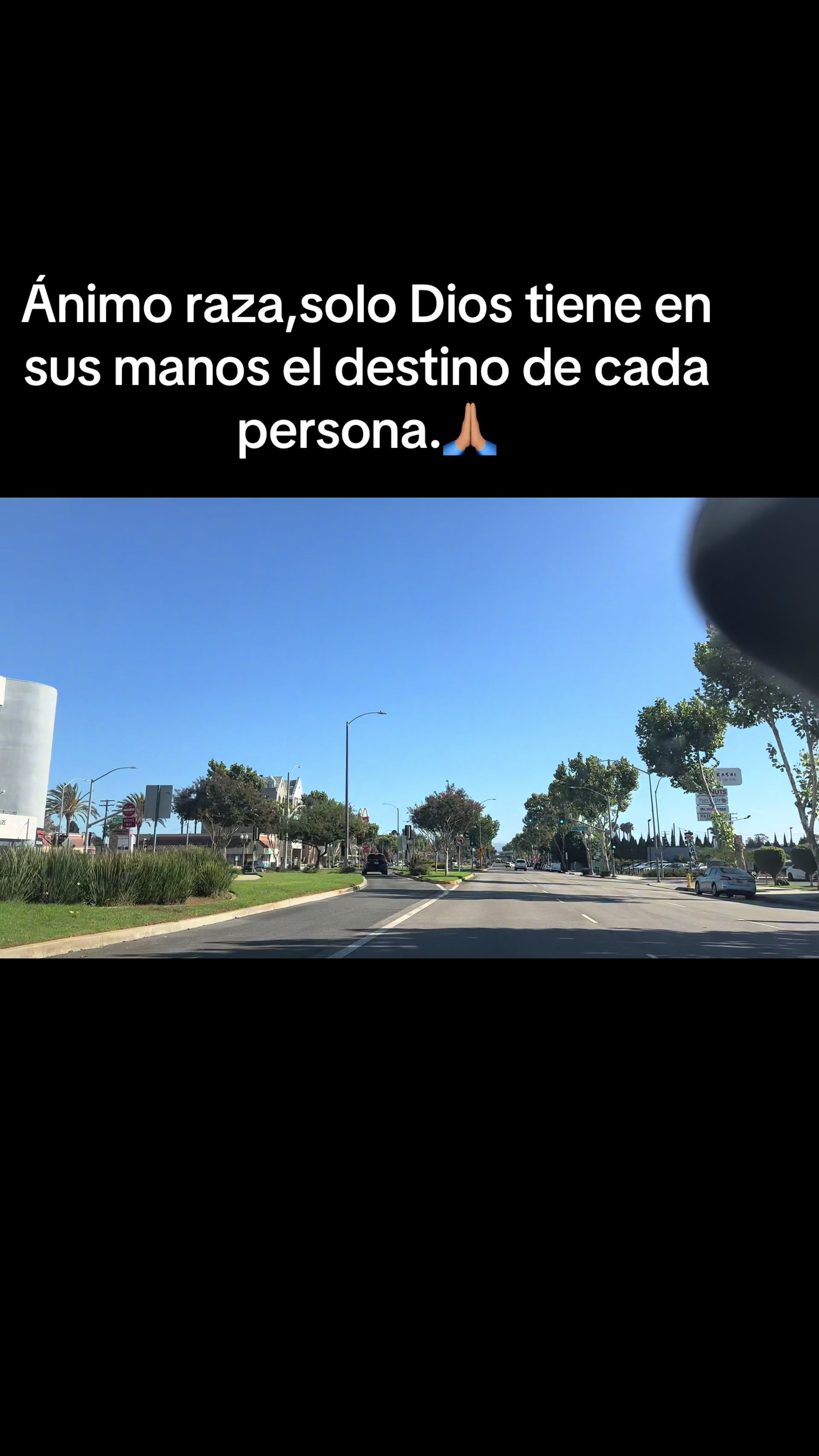 @_el24leo