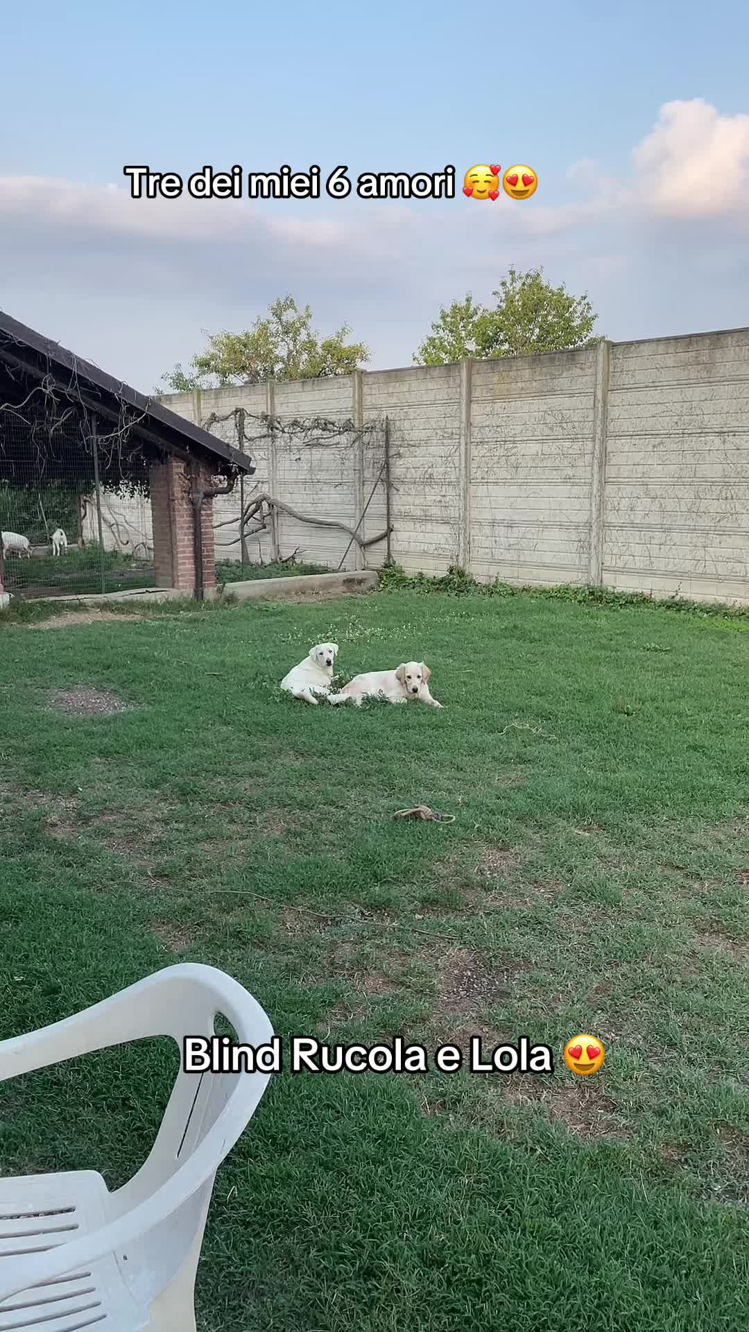 @KIRA❤️LEYLA💙