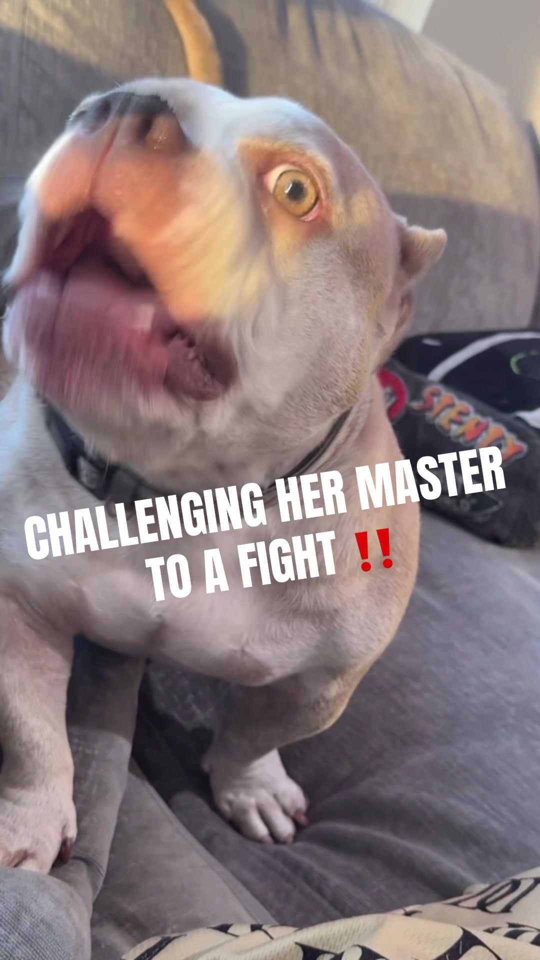 @UpscaleLA