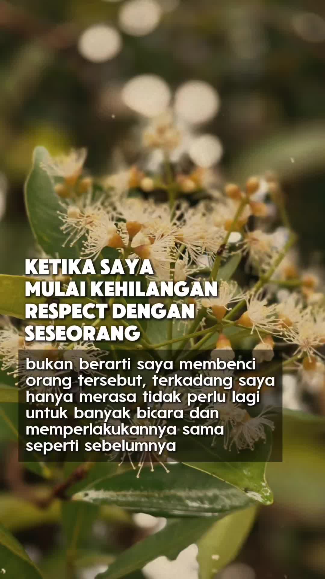 @rasheshe