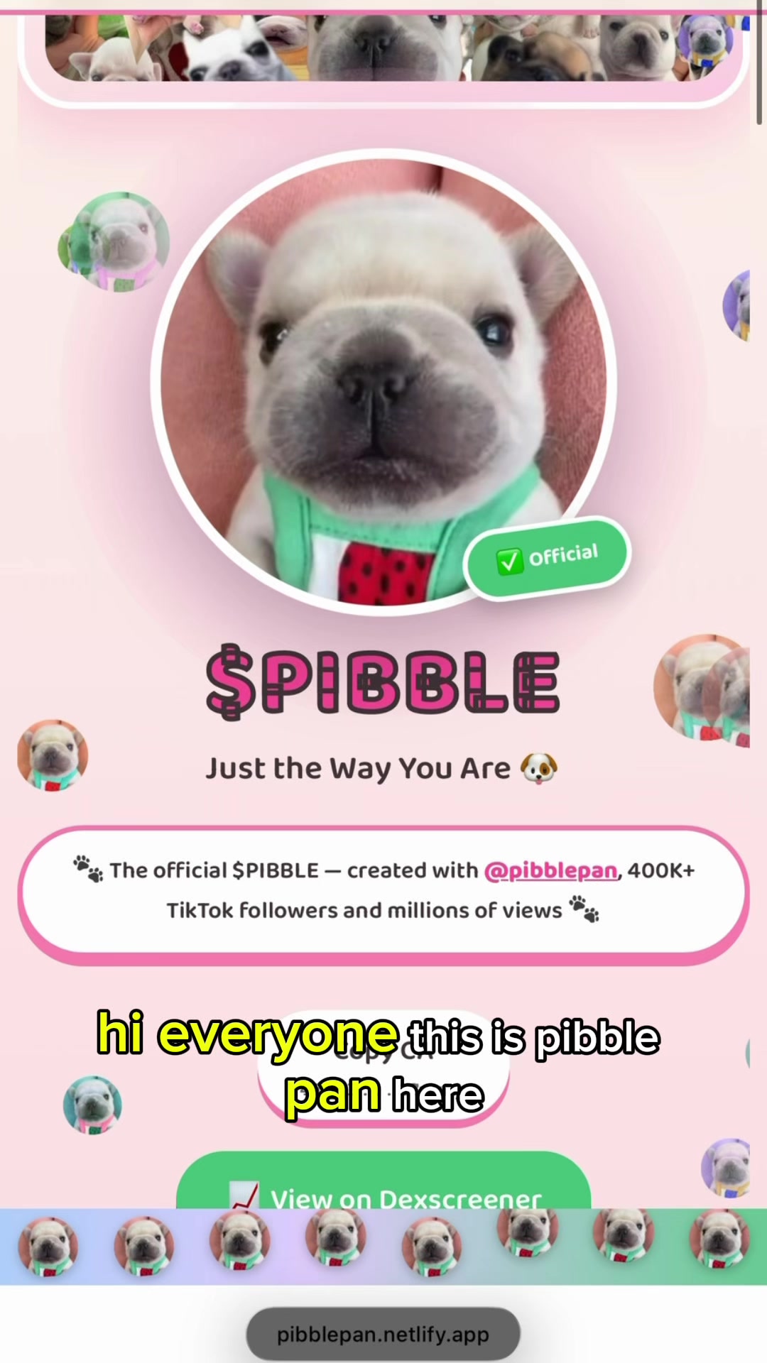 @pibblepan