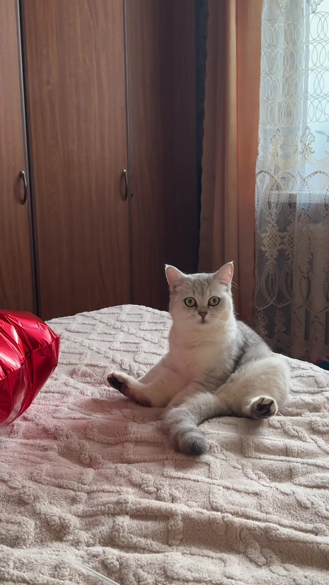 @Счастливые моменты