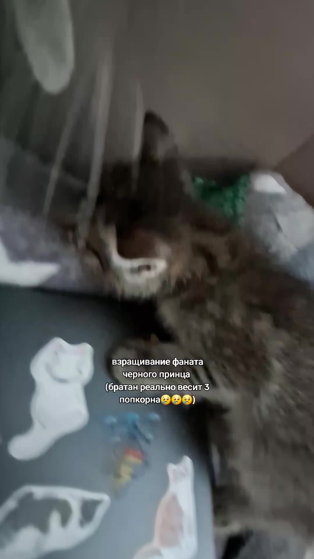 @лаваш