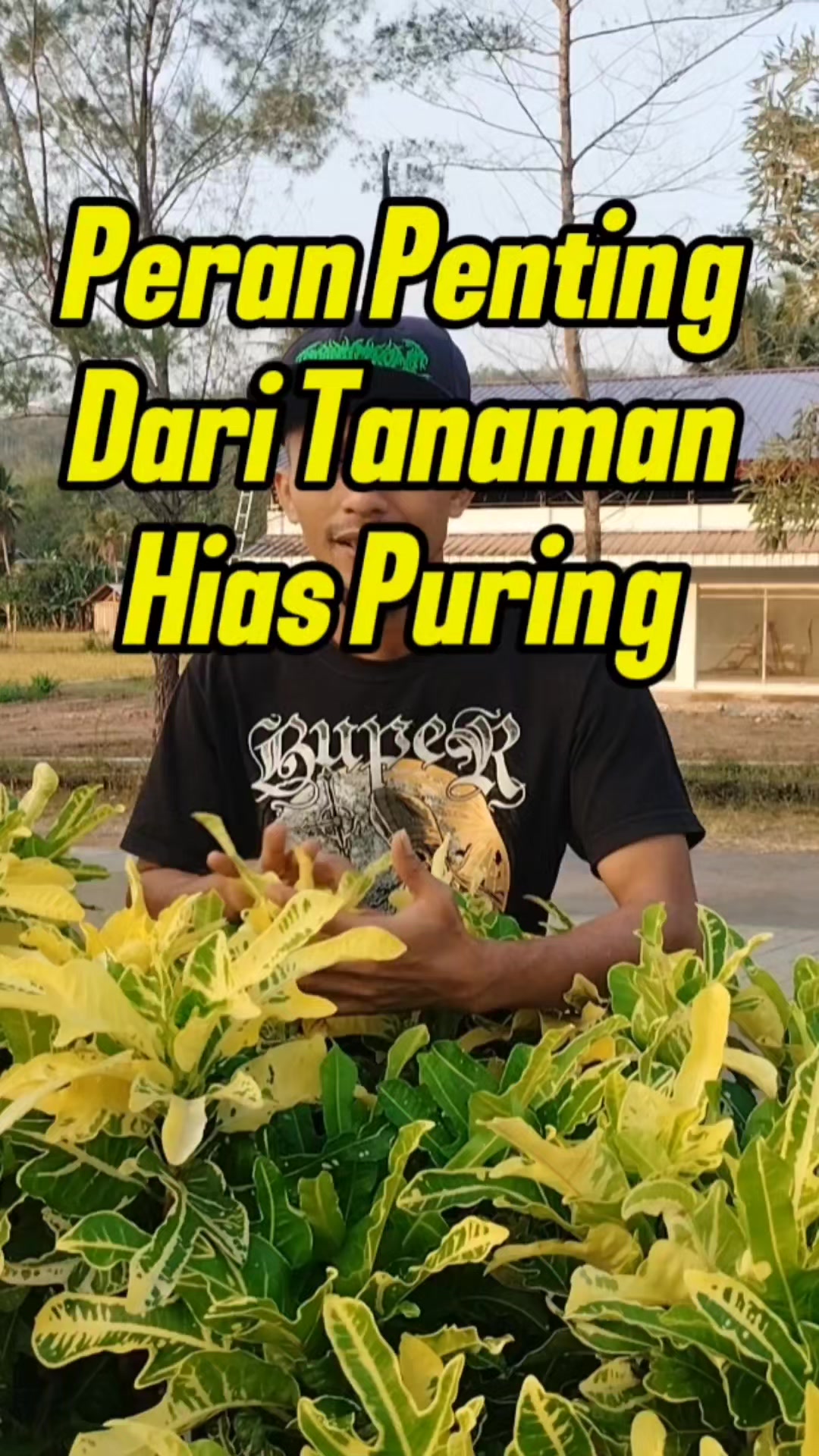 @Bukit Farming