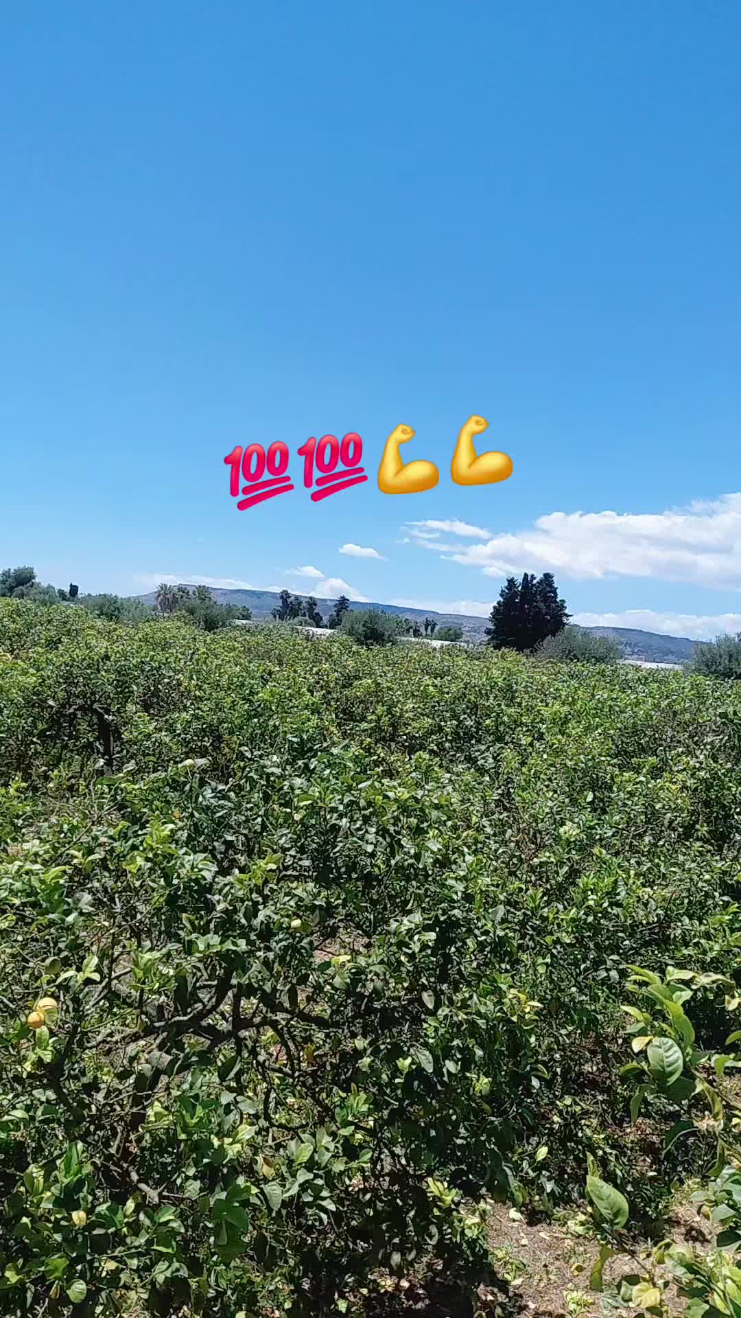 @Marco 80