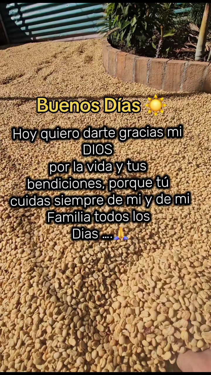 @CONSTRUCCIONES VICASTHER
