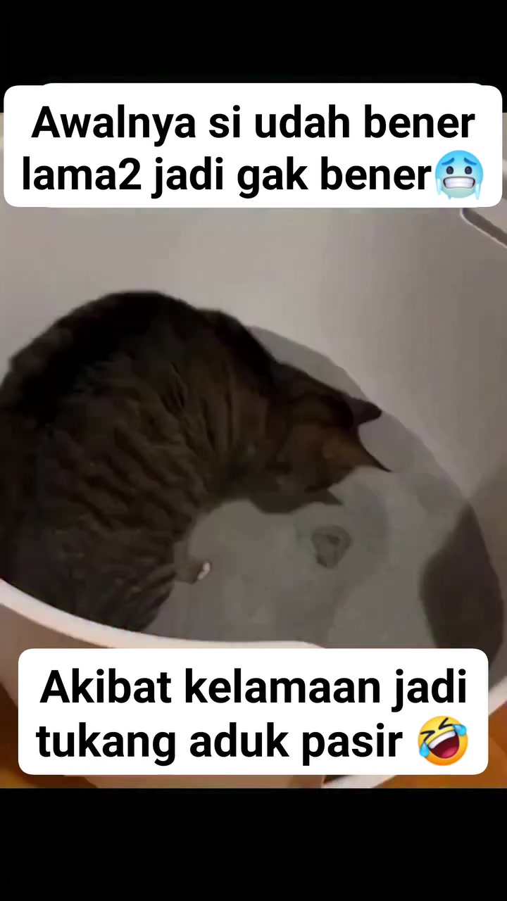 @dwikaputramahardika