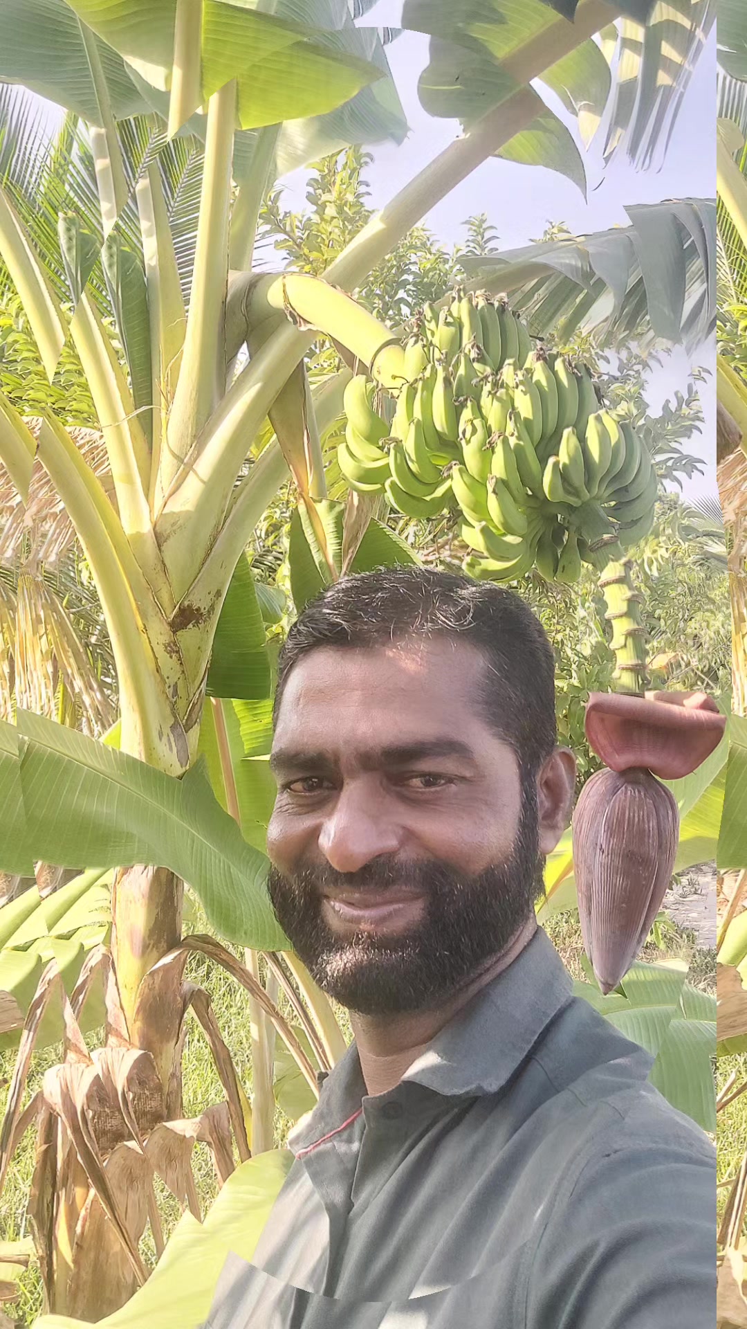 @செல்வம் செல்வம்