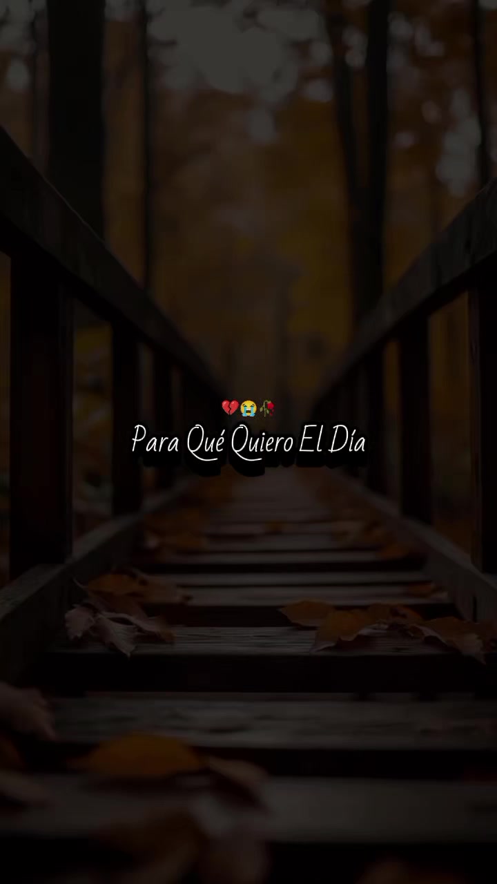 @@𝓒𝓵𝓪𝓾_𝓜𝓾𝓼𝓲𝓬502♡