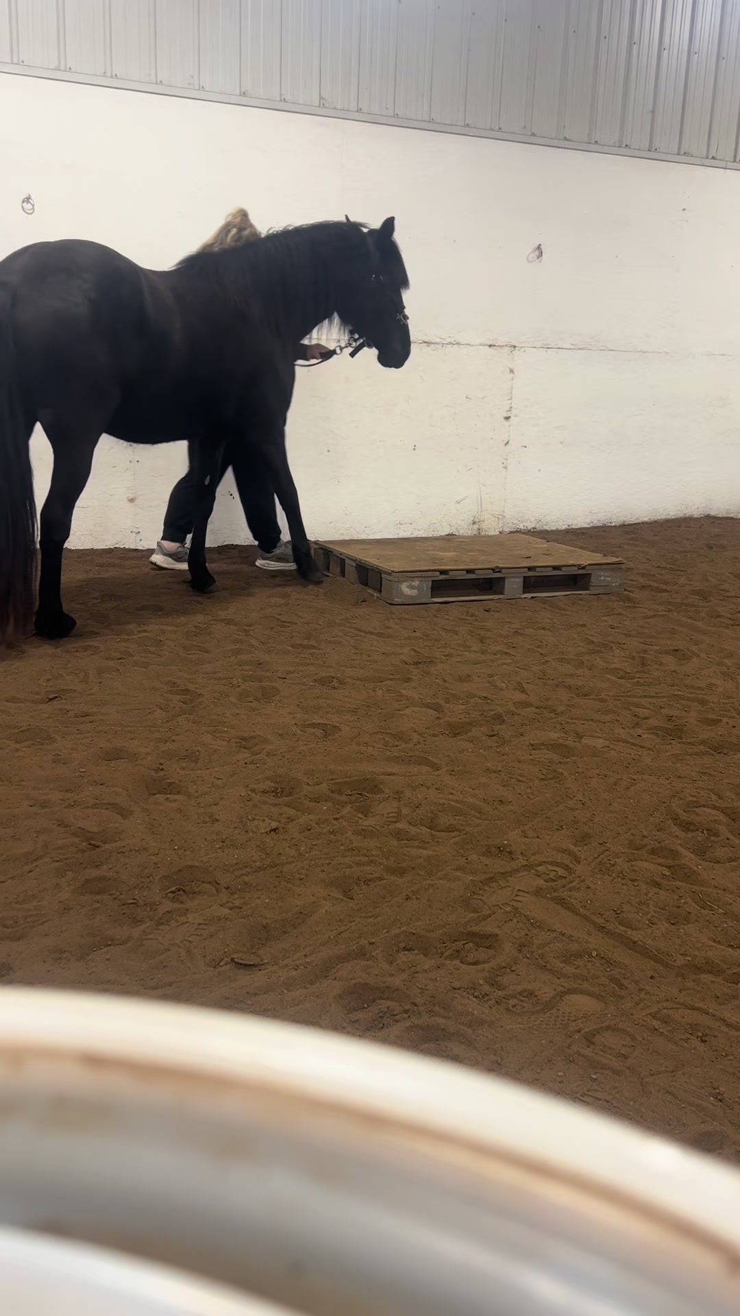 @Spirithorsecentermn