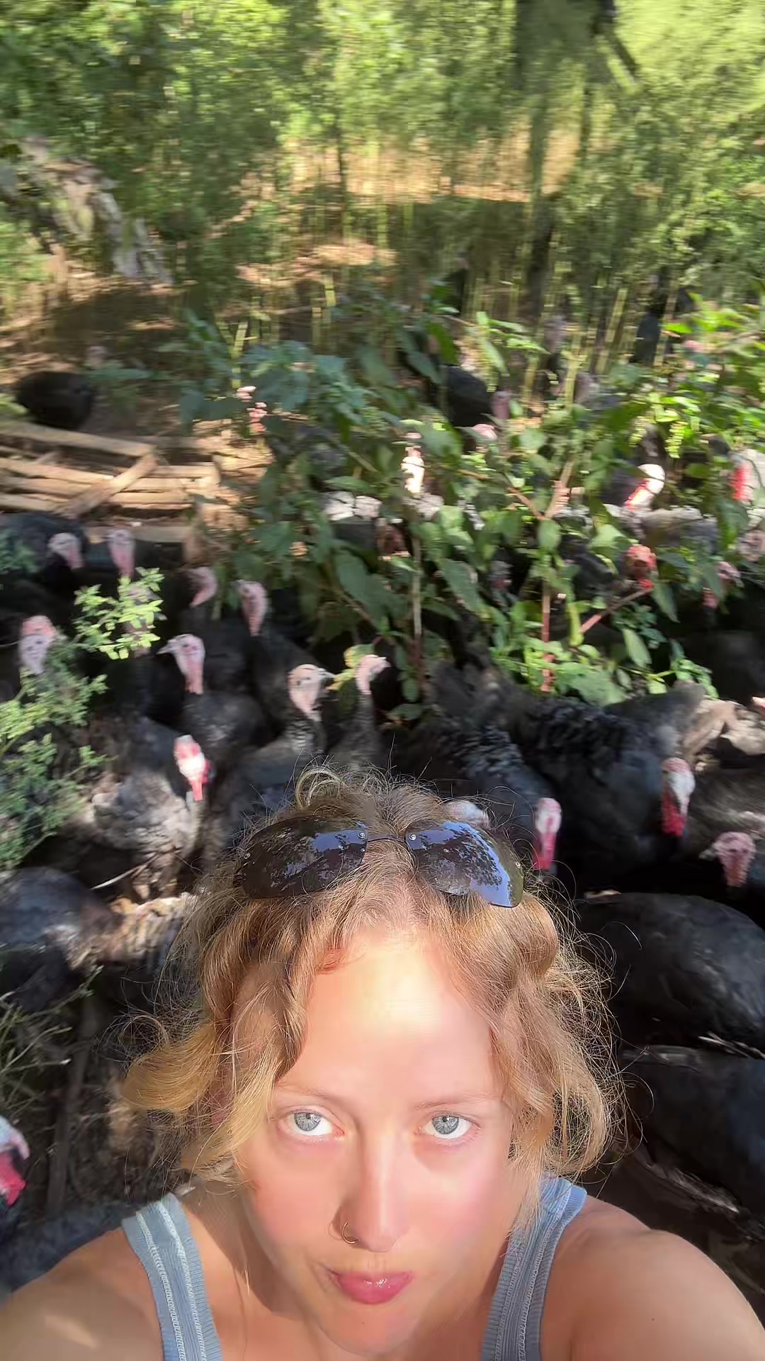 @farmerandtheharpiist