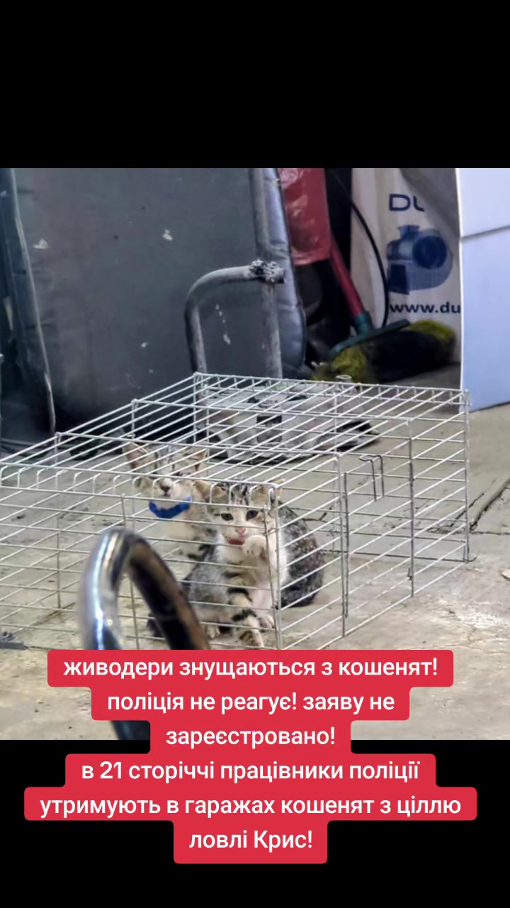 @MosakAnimalHub
