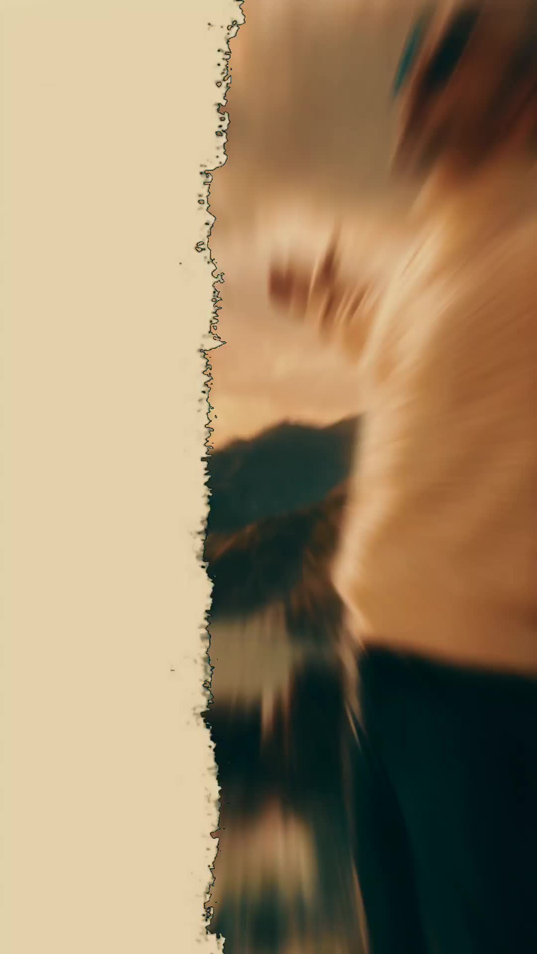 @Jos&eacute; hipp