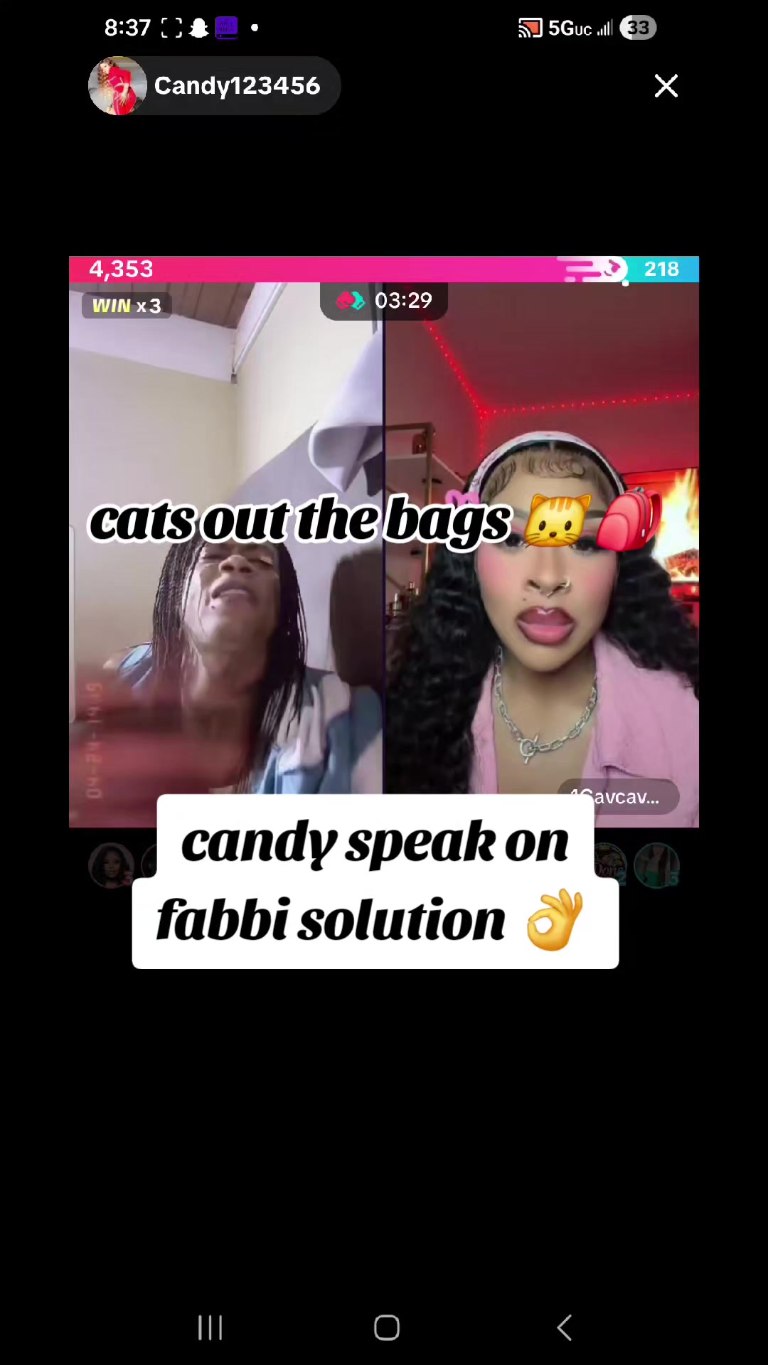@cats out  the bags 🐱🐱🐱🐱🐱