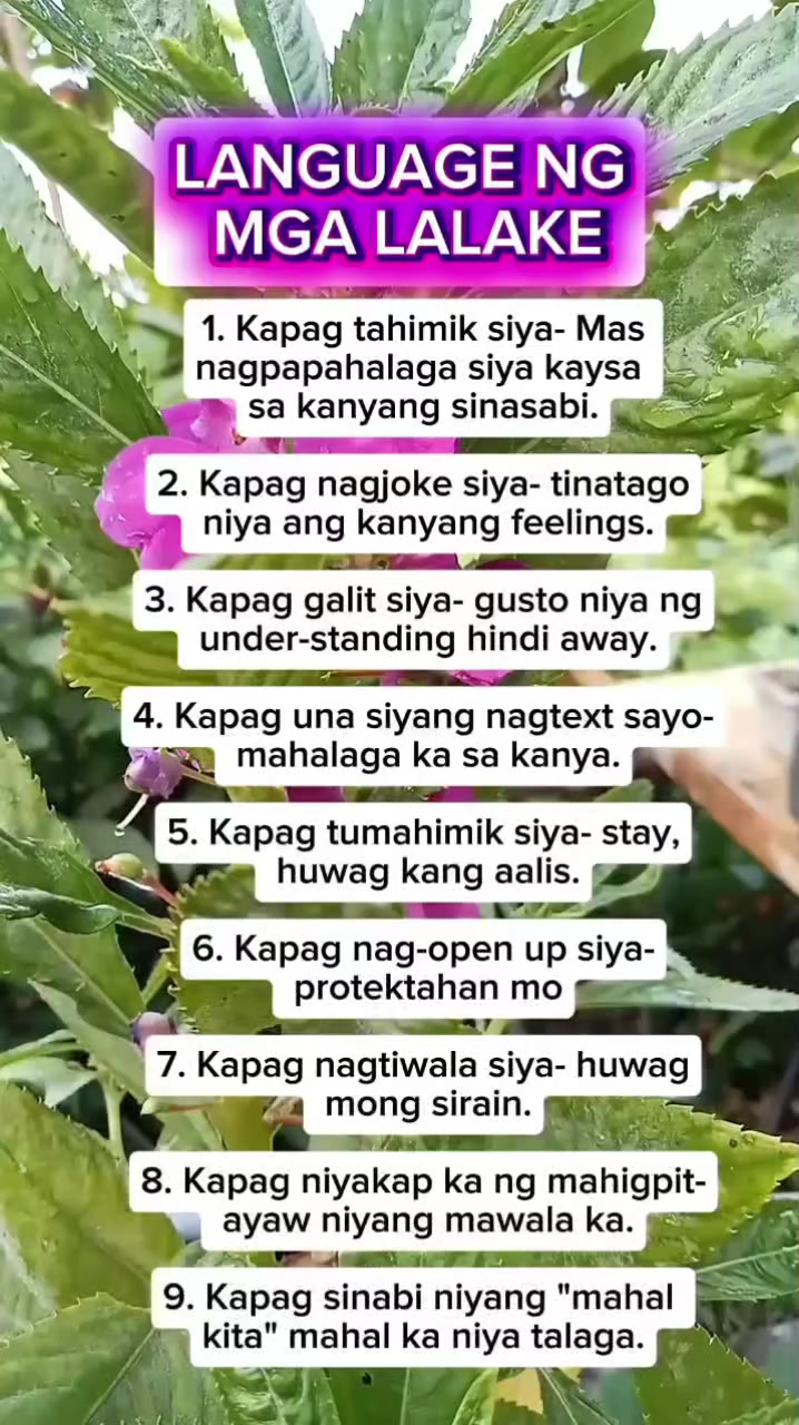 @🐝Tala Hives🐝
