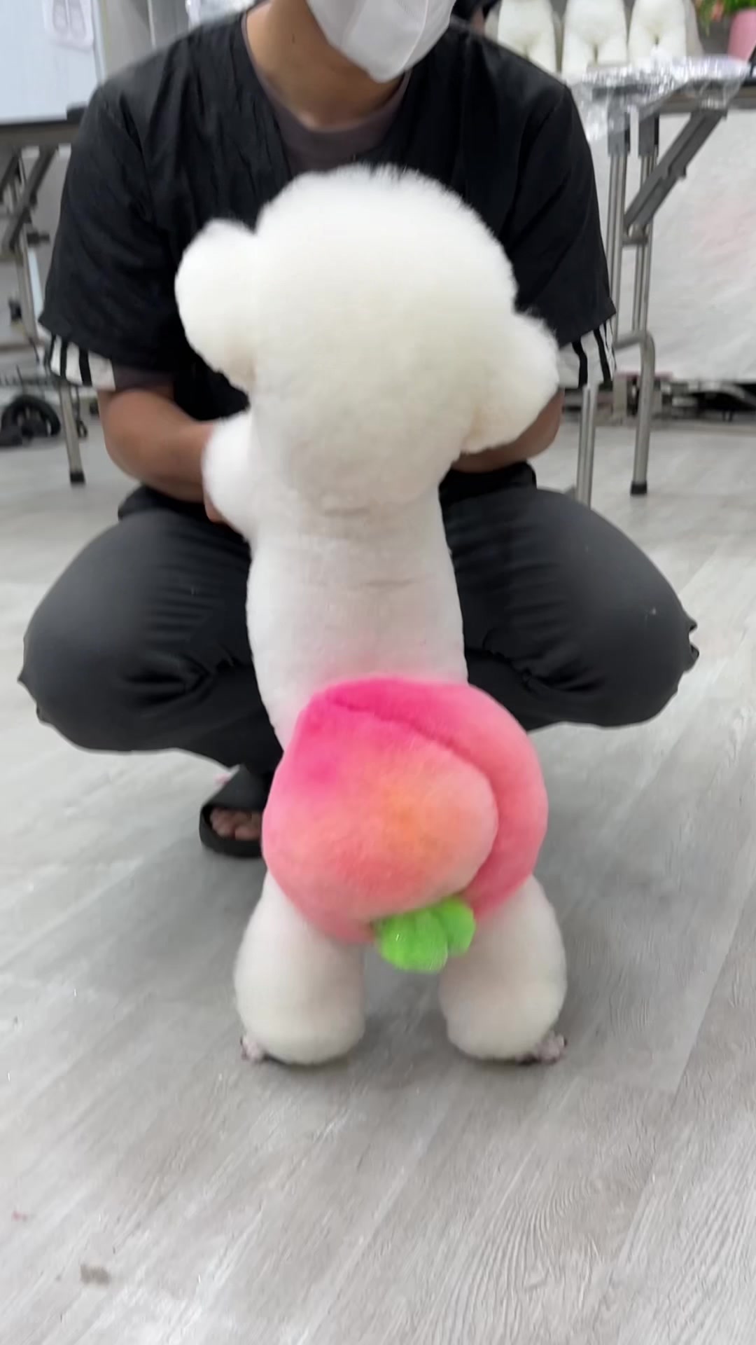 @TuongVan Petstylist