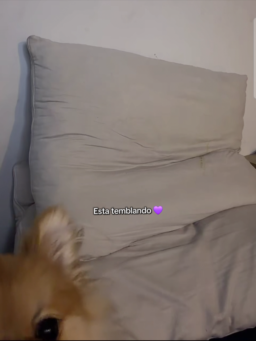 @tbt