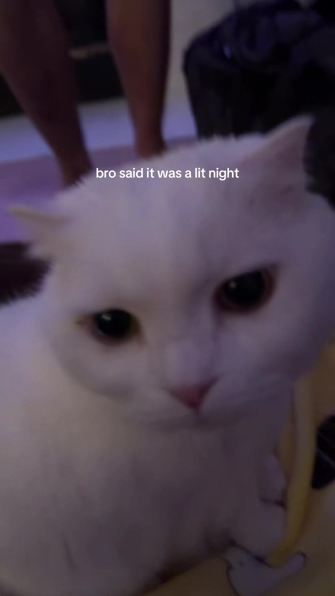 @Hubert