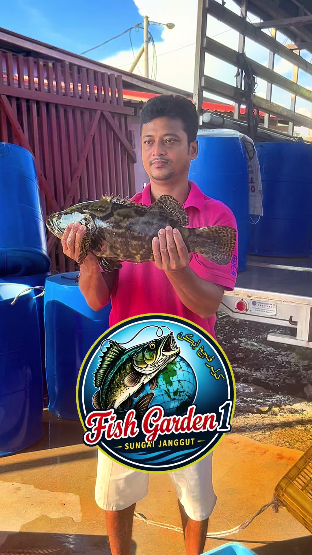 @M Z Reel 🎣