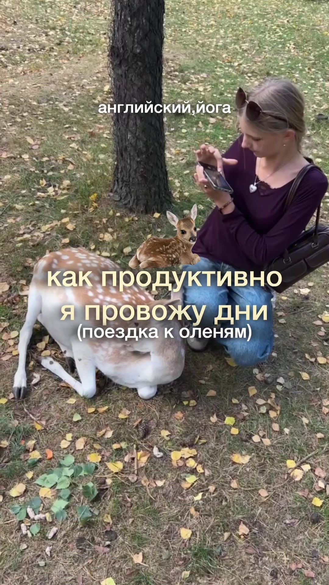@darias.journal