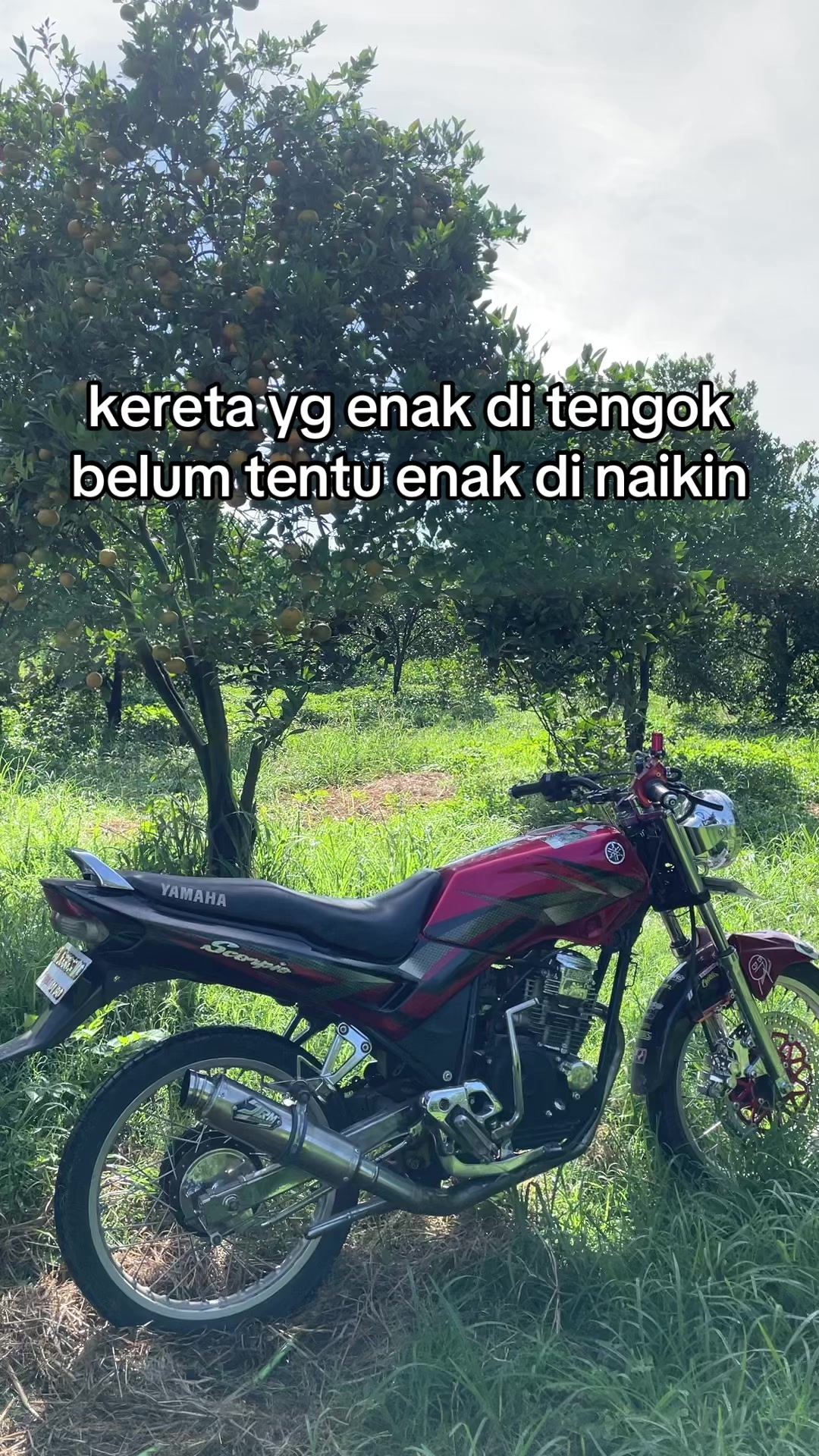 @Bgbil🥀