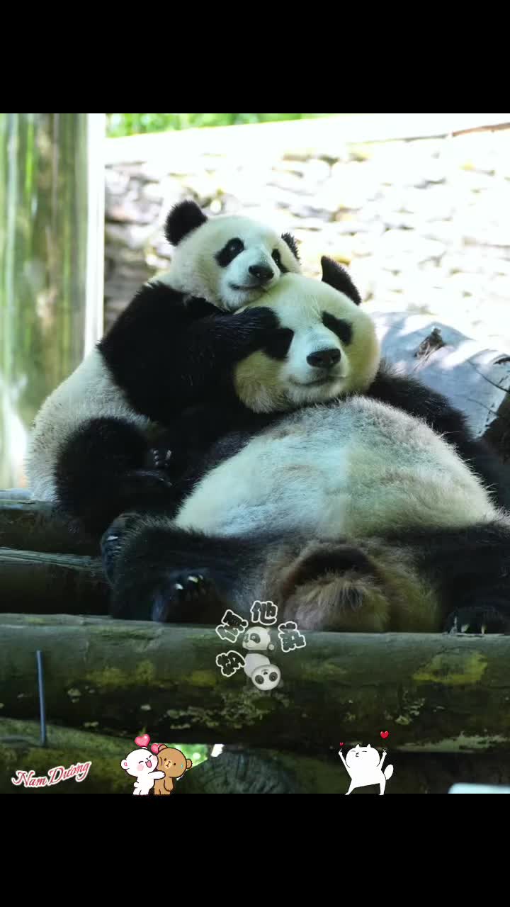 @Nam Dương™
