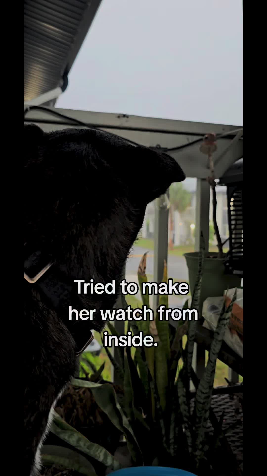 @Jennifer Cadiz