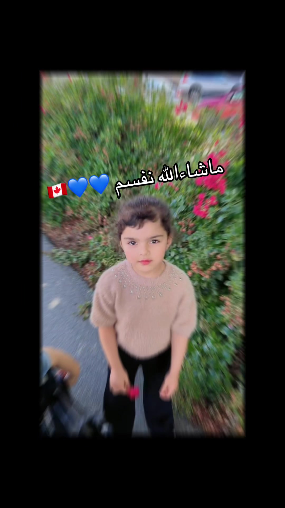 @Roya Kakar