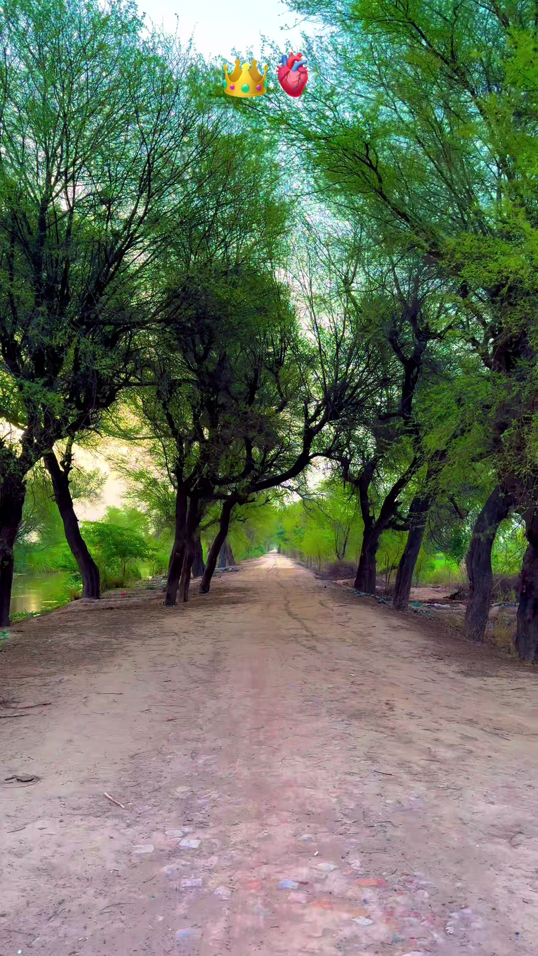 @پنجابی کلچر 🌾🍂