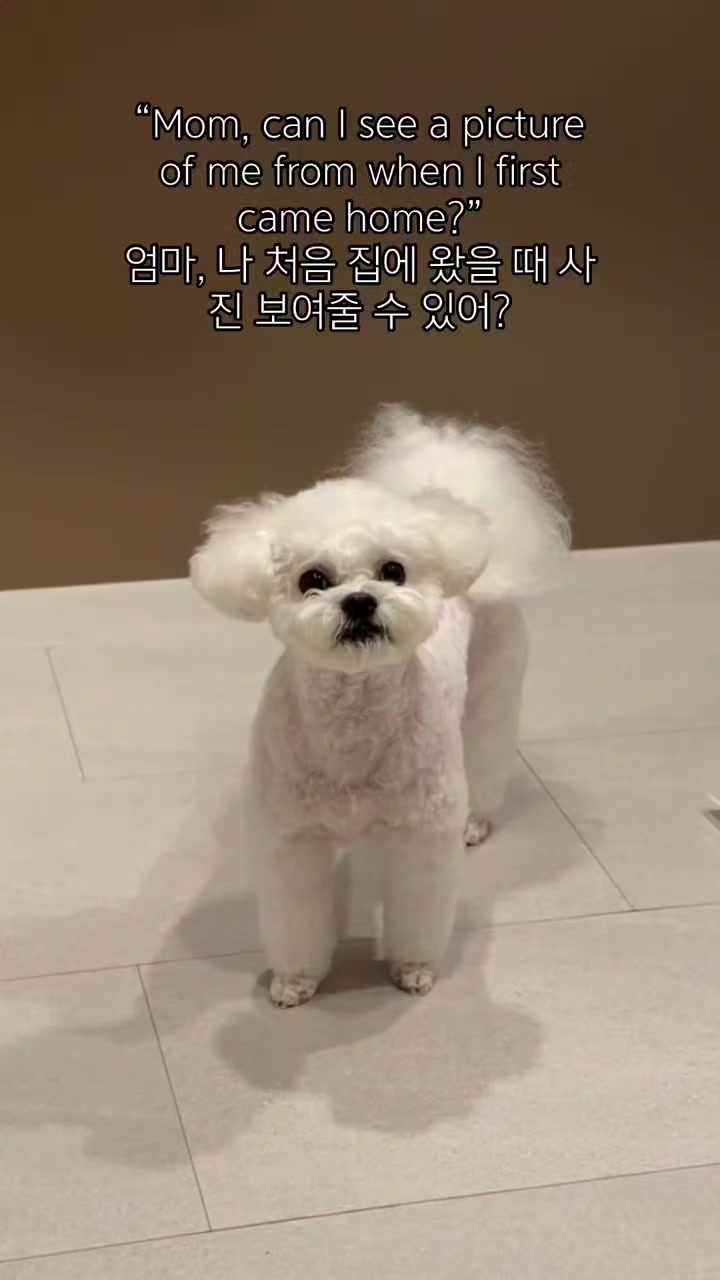 @짜원인데 뭐