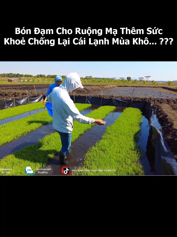 @Tin Tức Angola