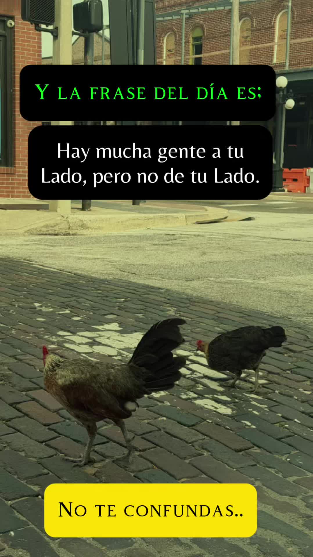 @El compa Mota’s