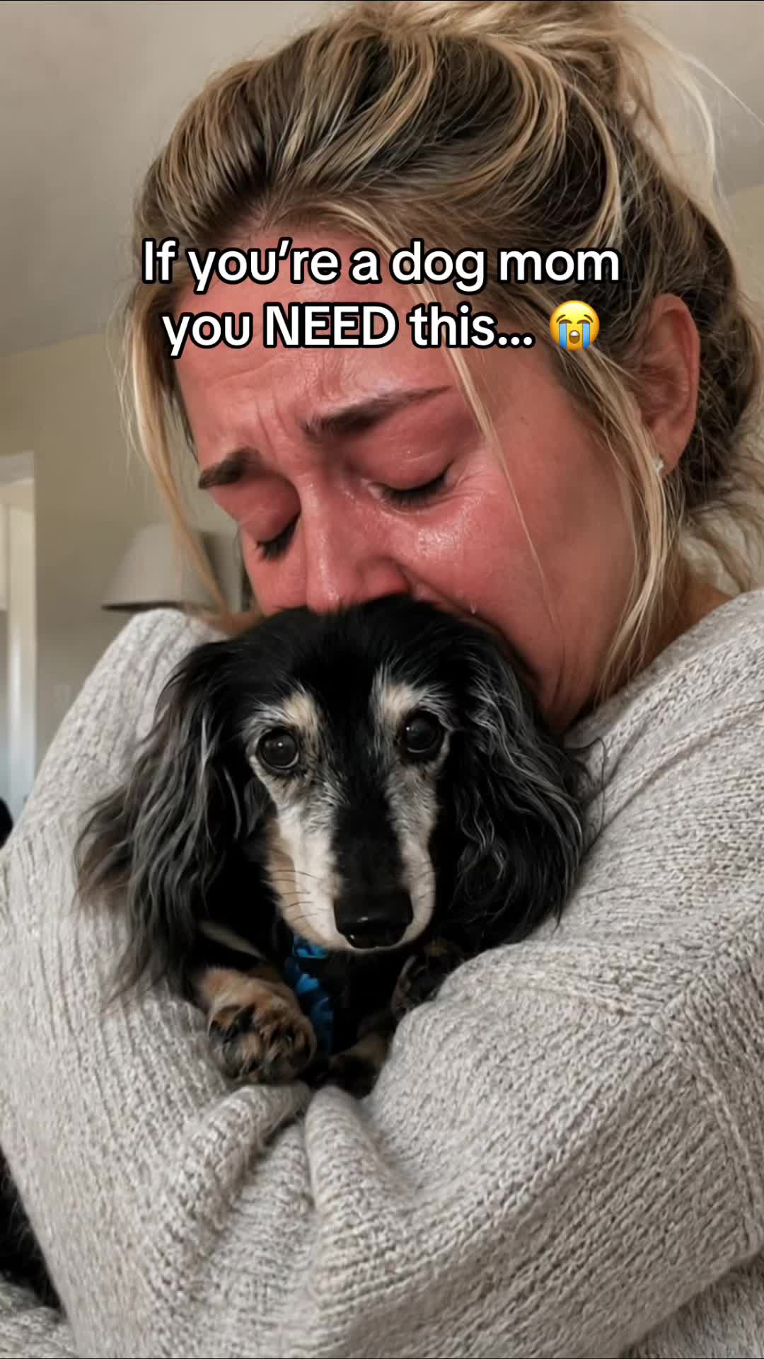 @SavlahPets