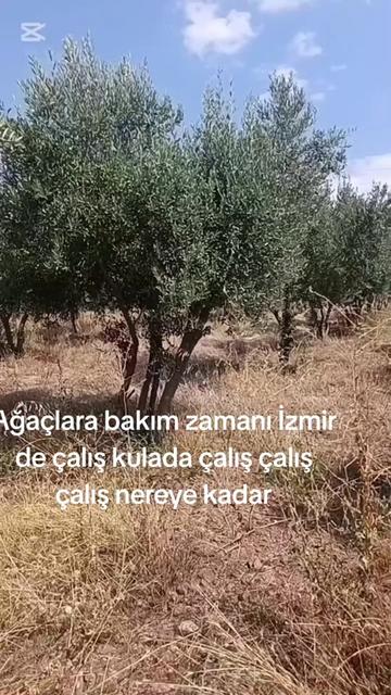@kulalı_erdalusta