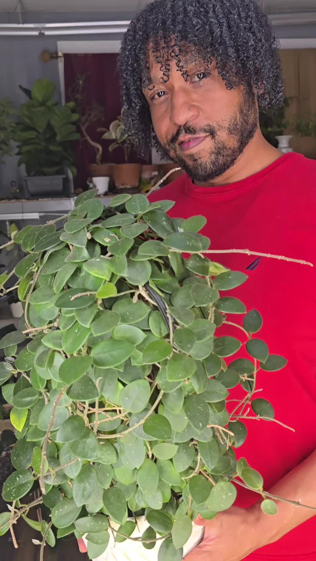@JT - BigEGOPlants