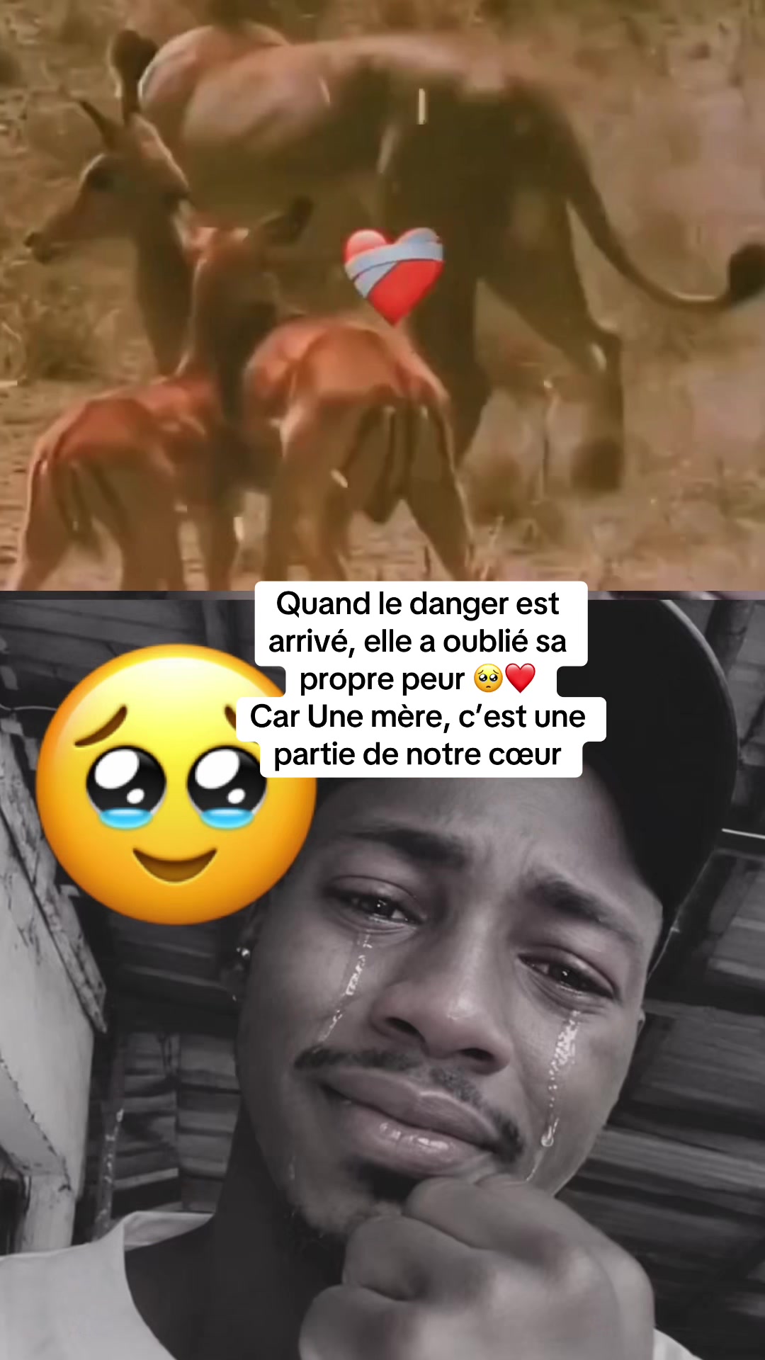 @JUMEAU GN 224🎤 🇬🇳