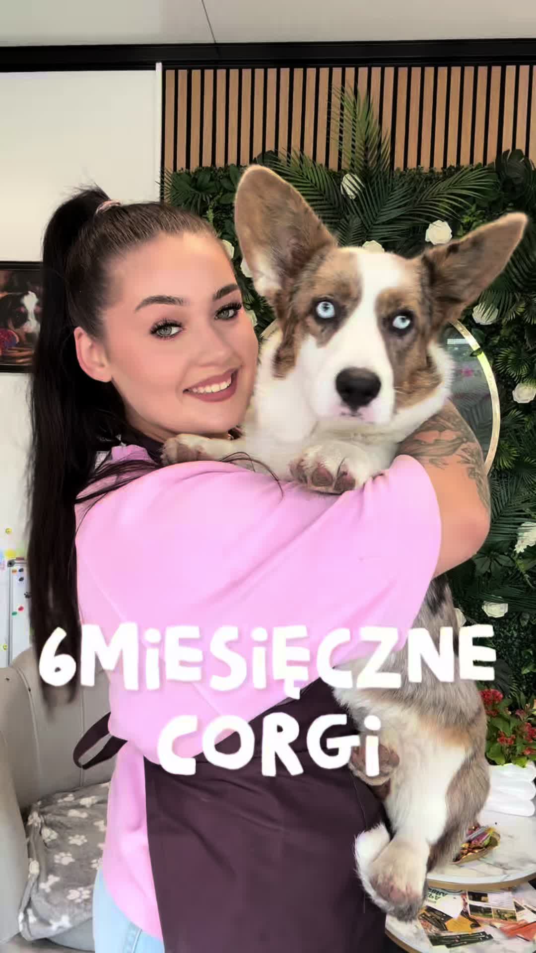 @iwanxoczko