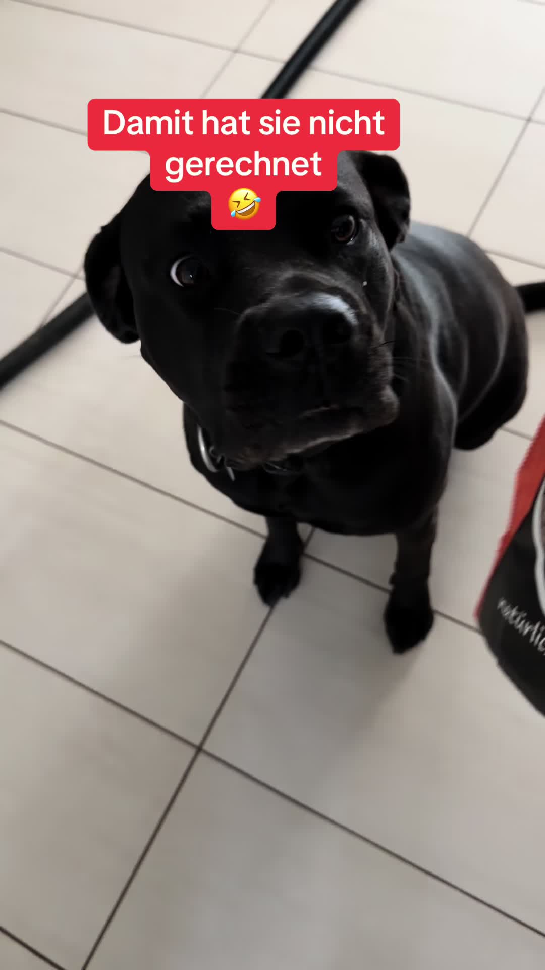 @Braunici