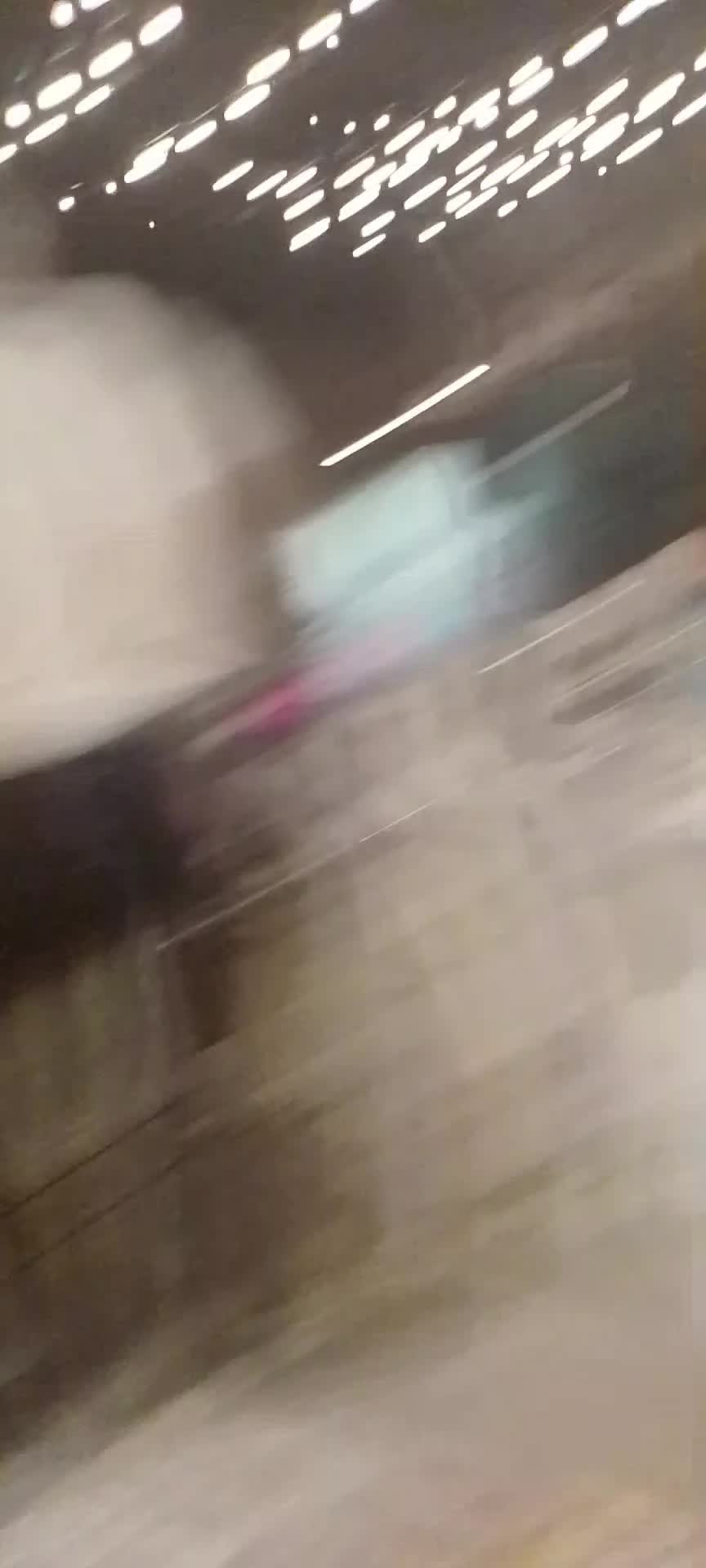 @Elisabetta Scalabrino