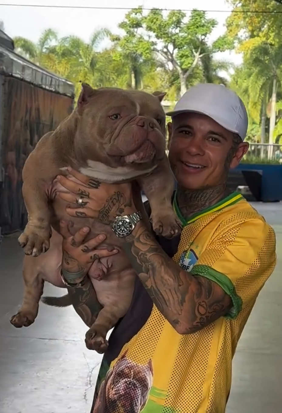 @Bully Brasil