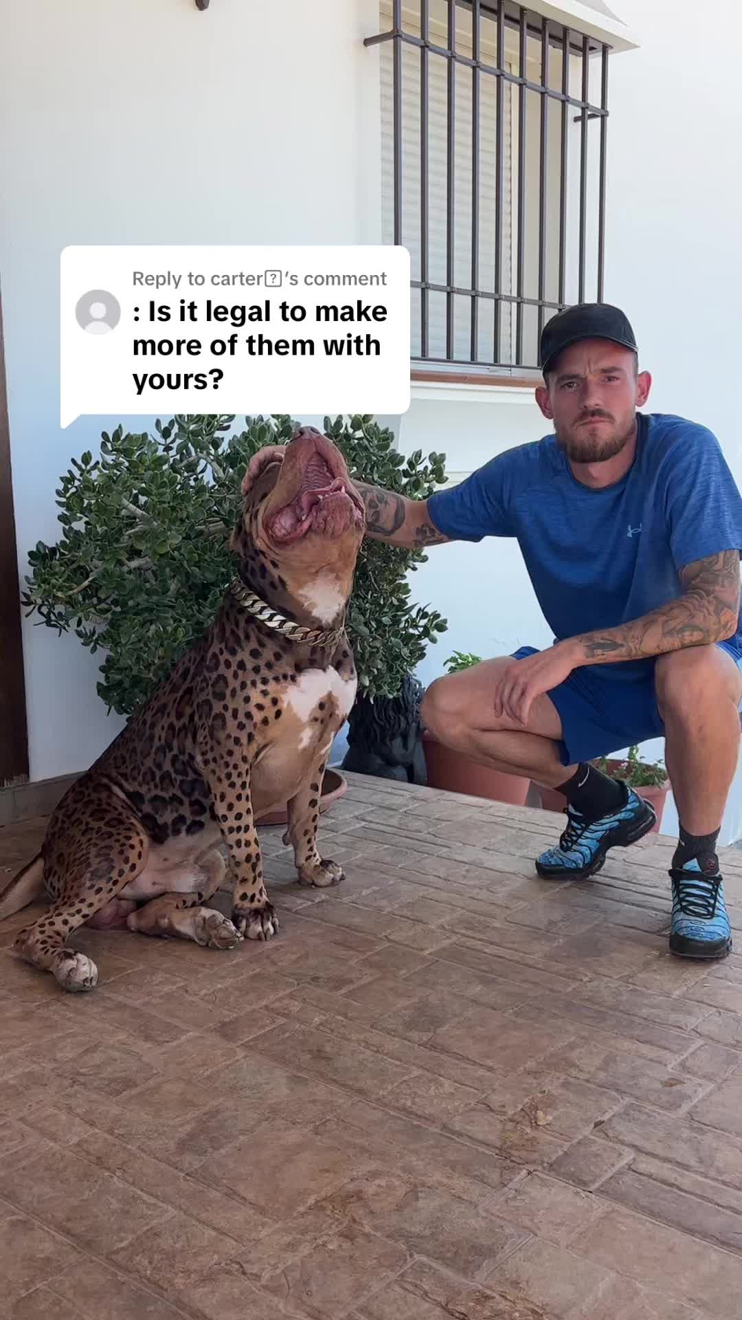 @deanthedogman1