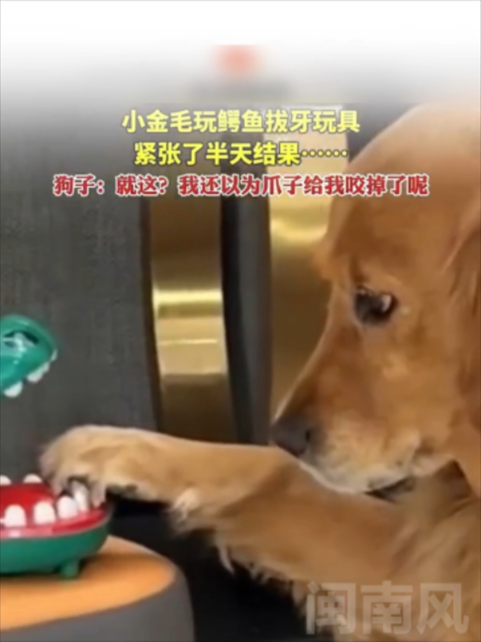 @闽南风~