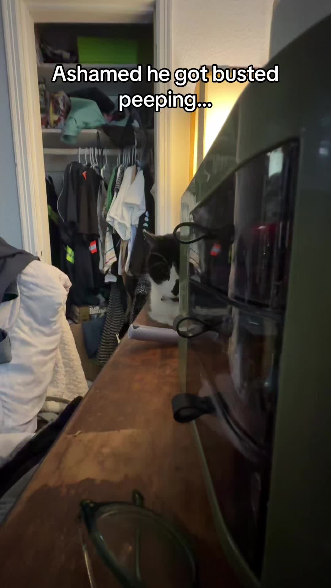 @Just another cat lady…