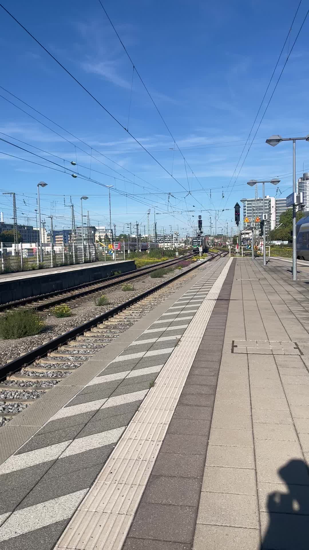 @Tuffer_spotter_aus-hoki๐๐น