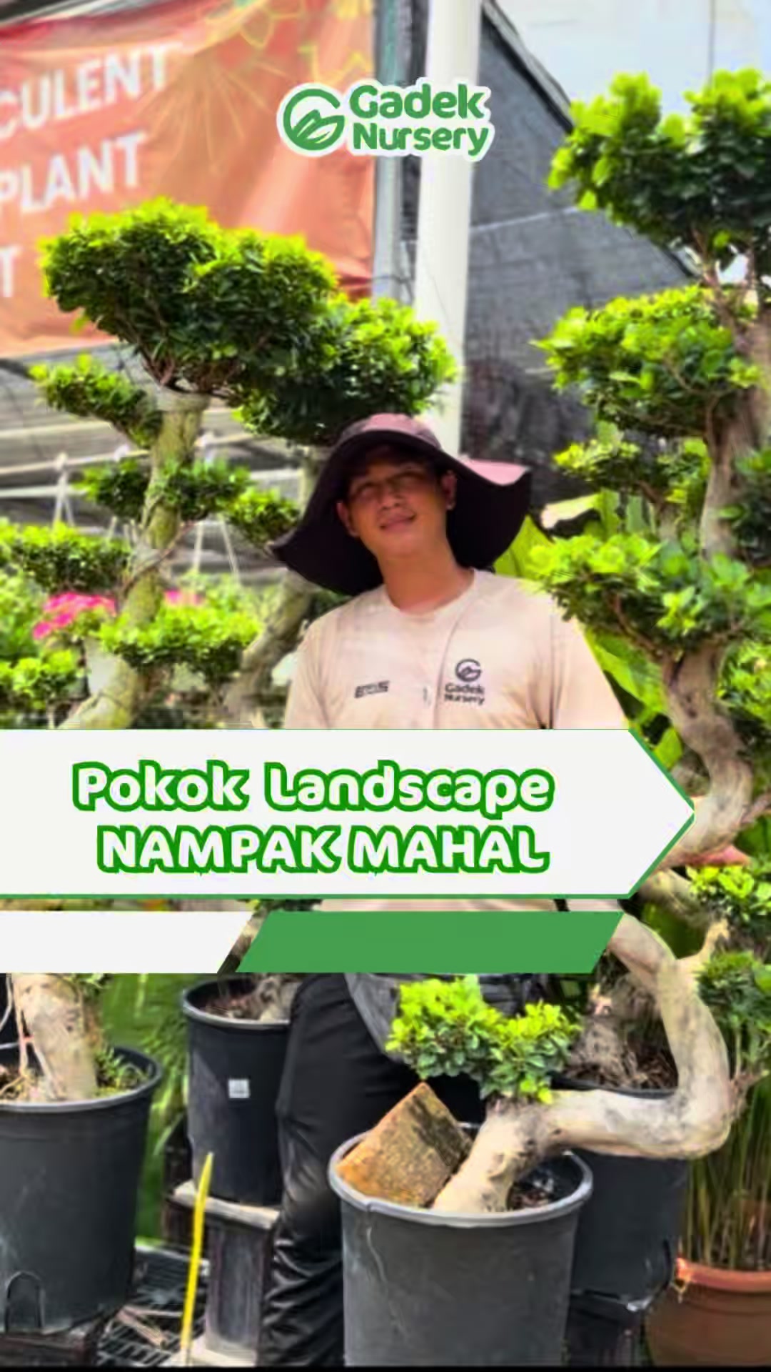 @Gadek Nursery