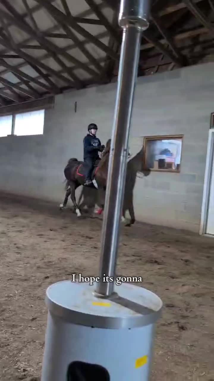 @saddleseat_4life