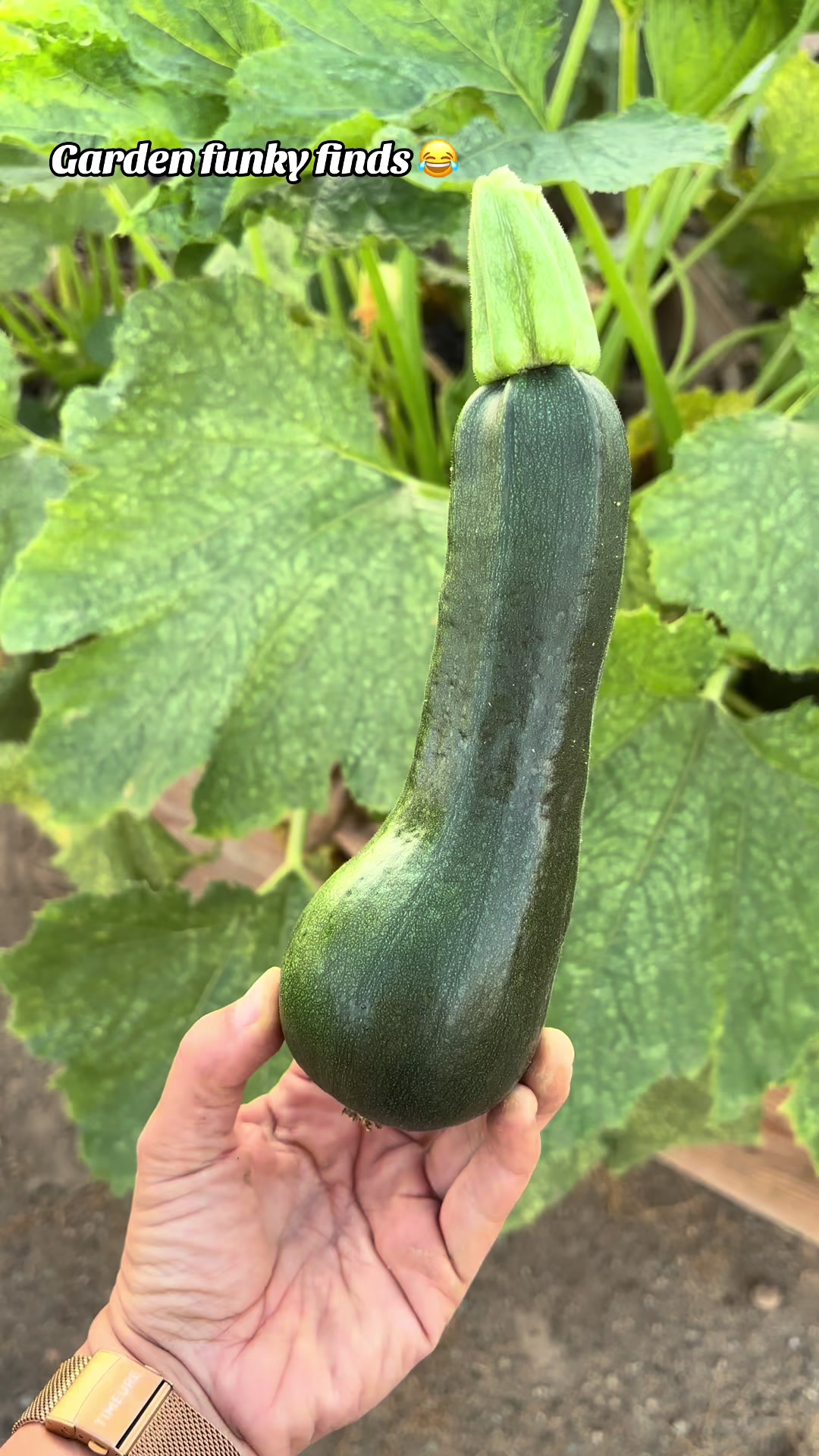 @seedstosprouts